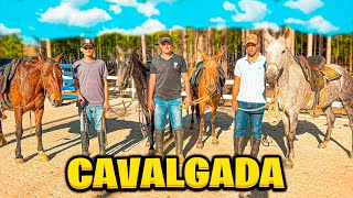 CAVALGADA com as ÉGUAS RECEPTORAS [upl. by Ishii]