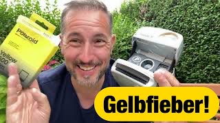 Gelbfieber Polaroid Duochrome Yellow 600 erster Eindruck [upl. by Garlan390]