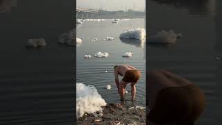 Delhi Thick toxic foam floats in Yamuna River near Kalindi Kunj [upl. by Nolubez711]