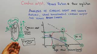 CVS 182  Analysis of cardiac output curve and venous return curve combined  Right atrial pressure [upl. by Centeno]