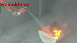 REINOLDMAX FIRE EXTINGUISHER  TORTURE TEST [upl. by Werra]