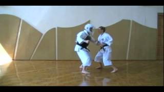 Shorinji Kempo Techniques  2 Kyu Juho [upl. by Laurent]