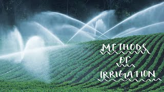 Class9 Biology Improvement in Food Resources Methods of Irrigation [upl. by Arerrac]