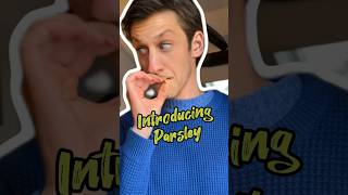 Everything is Cigarettes Intro Parsley  Mango amp Basil comedy italiancomedy [upl. by Aliahkim]