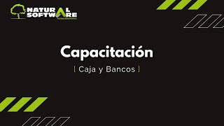 Capacitación Caja y Bancos [upl. by Neetsuj]