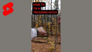 HOW TO TIE A TRUCKERS HITCH  Best knot for backpacking ridgelines and clotheslines shorts [upl. by Honor]