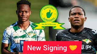 Transfer News Sundowns has completed the signing of highly rated winger💛👆 Kobamelo Kodisang✍️💯🤝 [upl. by Kovacs809]