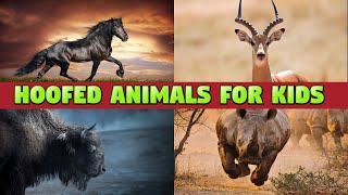 HOOFED ANIMALS  NAMES AND SOUNDS LEARNING FOR KIDS [upl. by Nalo109]