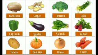 Vegetables vocabulary  common vegetables name in engilsh with picture  Study for kids [upl. by Elamor701]