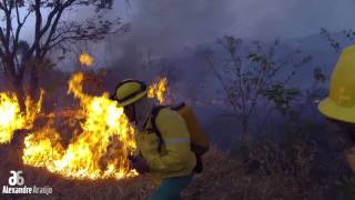 Combate a Incêndio Florestal [upl. by Inalaehak]