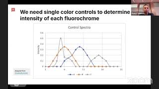 Spectral flow vs conventional flow essentials for immunotherapy developers [upl. by Koh]