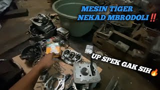 MESIN TIGER NEKAD UP SPEK‼️ PREPARE JATENG JABAR🔥 [upl. by Nosreffej971]