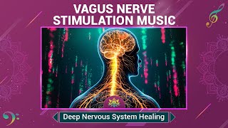 Vagus Nerve Stimulation Music  Relief Stress Panic amp Mental Fatigue  Deep Nervous System Healing [upl. by Novihs469]