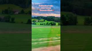 Switzerland with Juliet 🇨🇭youtubeshorts switzerland romont nature photography [upl. by Atnuahsal]