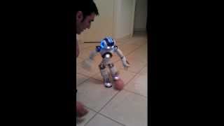 NAO Robot soccer trick [upl. by Karol]