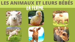 Les animaux de la ferme et leurs bébés [upl. by Gretel144]