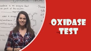 Oxidase Test [upl. by Evoy]