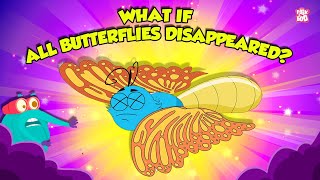 What if all Butterflies Disappeared  Importance of Butterfly in Our Environment  Dr Binocs Show [upl. by Acemat840]