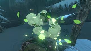 Korok seeds  Tabantha Hills  Hebra Tower 34  Zelda BOTW [upl. by Fairbanks]