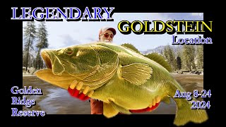 Golden Ridge Reserve Legendary Fish Location  Aug 814 2024  Call of the Wild The Angler [upl. by Sergias]