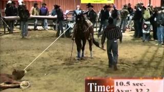 Calf roping [upl. by Livia]