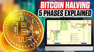 5 Phases of the Bitcoin Halving  Ultimate Guide For 2024 [upl. by Ula]