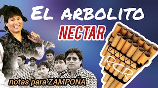 El Arbolito  Néctar ◇ Tutorial para ZAMPOÑA [upl. by Camroc452]