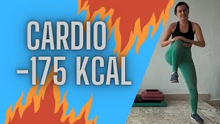 Ciche cardio spalanie i ujędrnianie Spal ok 175 kcal Bez maty i bez skakania Dla początkujących [upl. by Oinoitna280]