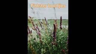 Pinkster KoortjiesU alleen Regeer [upl. by Nailimixam201]