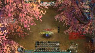 AION JP 55 templar PvP ジケル part1 [upl. by Ramhaj]