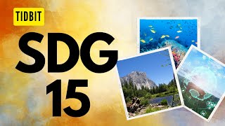 What the SDG 15 states about   Tidbit [upl. by Thatch299]