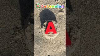 Learn ABCs at the Beach Easy DIY Lessons cocomelon shorts [upl. by Bashemath]