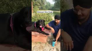 Baba Dolo ji at Sundar Nursery doglover funny dog love food [upl. by Anitsugua]