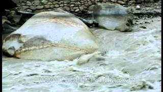 Strong water currents of the Ganges river at Gangotri [upl. by Sholley]