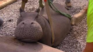 Hippo Exhibit getting Finishing Touches  Cincinnati Zoo [upl. by Enohsal941]