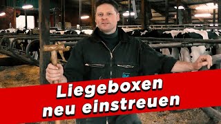 Einstreuen der Liegeboxen ohne Technik  My KuhTube Film 326 [upl. by Tonl240]