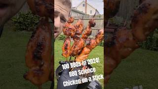 100 BBQs 2024 48 BBQ Science Behind Chicken on a Stick  Knishes chickenkebab [upl. by Aileen]