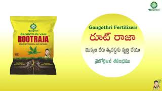 Gangothri Fertilizers  Rootraja  Endomycorrhizal Bio Fertilizer  రూట్ రాజా మైకోరైజల్ శీలీంద్రము [upl. by Marci]