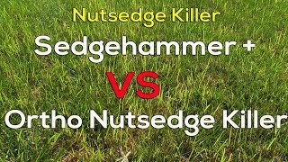 Best Nutsedge Weed killer for Your Lawn [upl. by Bastian]