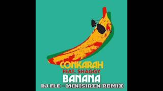 Conkarah Banana Ft Shaggy DJ Fle  Minisiren Remix Audio [upl. by Orimisac]