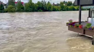 Hochwasser auf dem Rhein steigt weiter shorts [upl. by Tserrof]