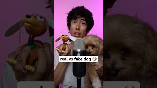 real vs fake dog 🐶 asmr [upl. by Anitap]