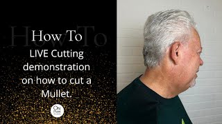 Live Cutting demonstration on how to cut a Mullet haircuttingeducation mullethaircut [upl. by Eicul]