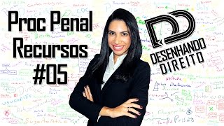 Recursos 05  Processo Penal  Classificação dos Recursos [upl. by Nodle]