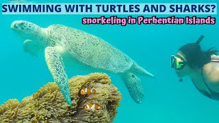 Snorkel Trip in Perhentian Island Terengganu BEST snorkeling in Malaysia  MALAYSIA TRAVEL VLOG [upl. by Lalita]