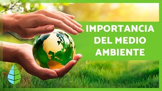 La IMPORTANCIA de CUIDAR el MEDIO AMBIENTE 🌏🌿 [upl. by Daryl]