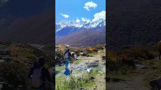 Exploring the Tranquil Beauty of Langtang Valley  Trekking Adventure [upl. by Sremmus]