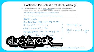 Elastizität Preiselastizität der Nachfrage  Grundbegriffe der Wirtschaftslehre [upl. by Sharon620]