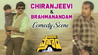 Pasivadi Pranam Movie Scenes  Chiranjeevi amp Brahmanandam Comedy Scene  Vijayashanthi Raghuvaran [upl. by Olga447]