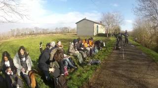 Etude faune flore habitat en milieu dunaire et dans les barthes de lAdour [upl. by Besse]